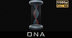 DNA