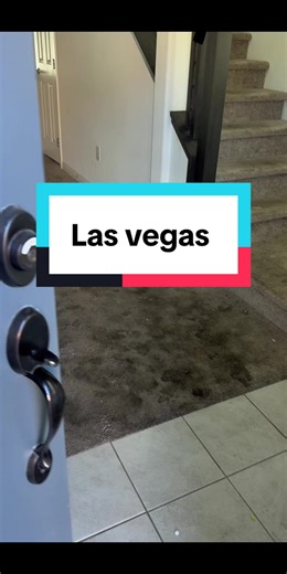 Professional Carpet Cleaning Services in Las Vegas