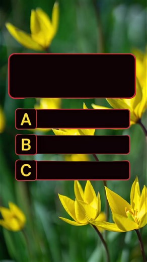 General Knowledge Quiz: Test Your Knowledge with MCQs