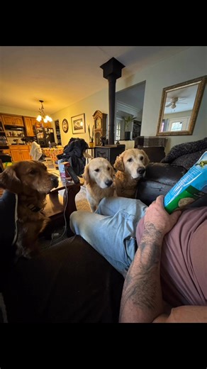 15 reactions | Rod Ward on Reels | Facebook