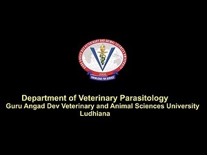 GADVASU. Video Tutorial of Practicals in Veterinary Parasitology