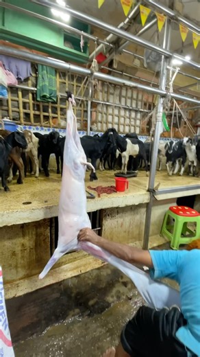 How to Process a Big Goat for the Meat #foodie