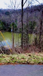 322K views · 10K reactions | #appalachia #fishing #support #lakeside #boatdocks #love | Patty Hudson | Facebook