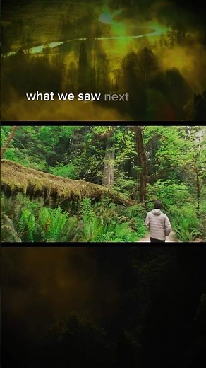 😲 This Is What Makes Redwood National Park Unforgettable #travel #bucketlist