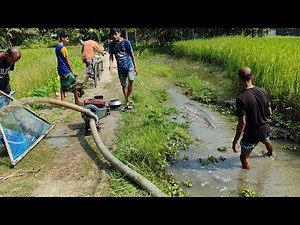 Best Pump Fishing Technique 🐟 Natural Fishing Video 🐟 Traditional Village Fishing 🐟 Fishing Video