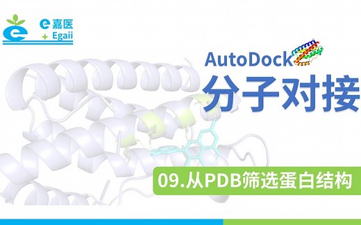e嘉医 | AutoDock 分子对接：【09】从PDB筛选蛋白结构