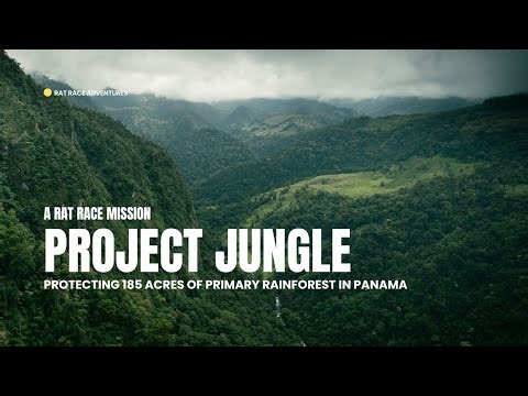 Project Jungle - Adventure that matters