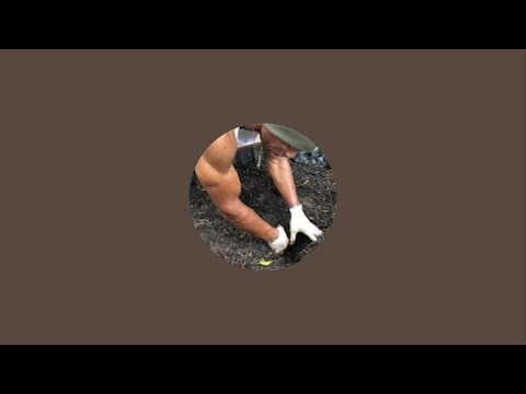 Growing Out The Box is live!