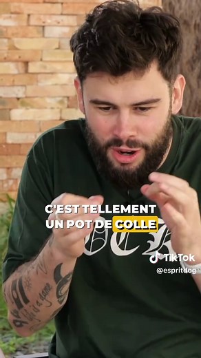 Chien gentil vs chien éduqué : lequel choisir ?