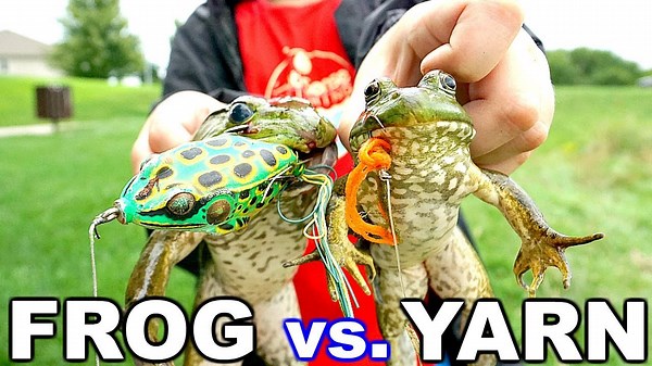The Unconventional Bait: Testing Yarn on Bullfrogs