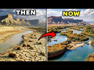 How 19 Beavers Turned Utah’s Dying Desert River Into a Thriving Oasis