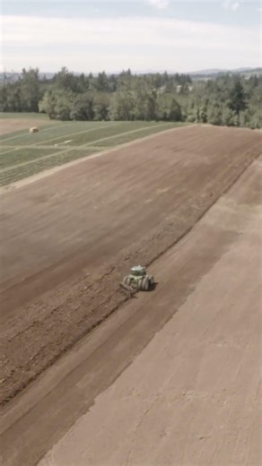 WHEN AGRICULTURE BECOMES PURE GEOMETRY