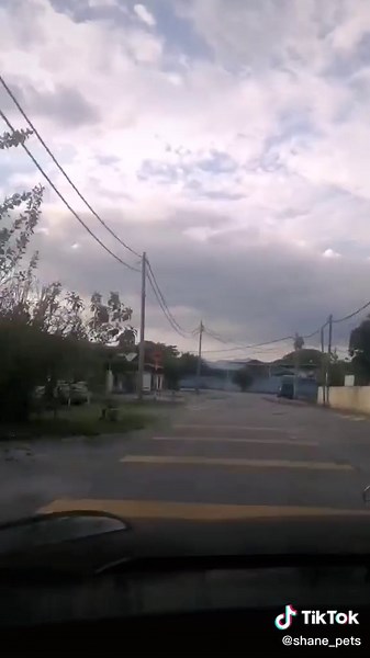 Malaysian wild reticulated python, rescue mission. 🔥❤️💪 #fyp#fypシ#foryoupage#foryou#reticulated #reticulatedphyton#malaysia#malaysia_tiktok