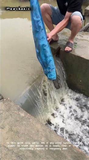 How to Build a Simple River Dam with Wood? 🌊🪵