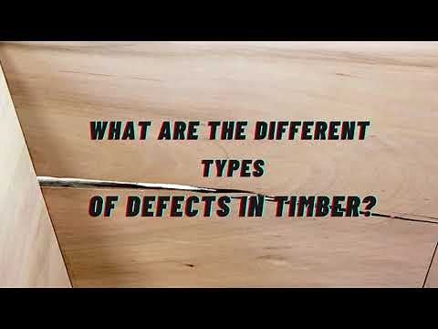 What Are the Different Types of Defects in Timber?
