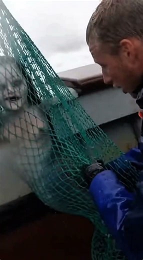 Caught in the Net: The Mermaid's Curse