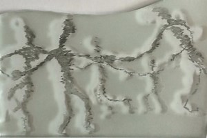 Xavier and the People's Academy