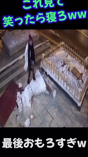 衝撃#笑ったら寝ろ#お笑い #面白い #shorts#「秒で笑える！バズった瞬間集」#爆笑 #viral #funnyfails#笑撃＃秒で笑える#ww#面白い笑ってはいけない#泥酔倶楽部