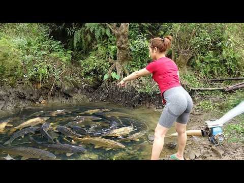 Fishing Video | Amazing Catch in Wild Lake | Village Lady Catching Big Fish in Muddy Water
