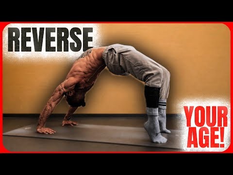 How the Back Bridge Completely Changes the Human Body!
