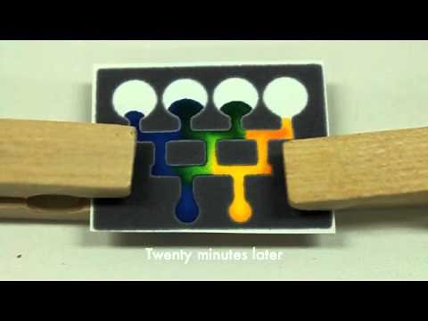 Lab 5: Paper Microfluidics