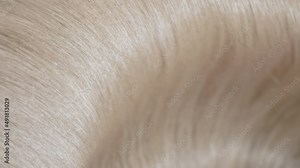 Flowing blonde hair being shake making waves slow motion | Shampoo commercial concept