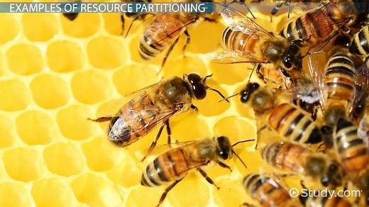 You must c C reate an account to continue watching