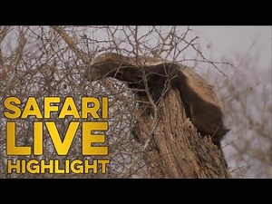 The most insane thing you'll see all day!