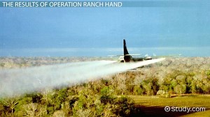 Operation Ranch Hand: Definition, Strategy & Impact