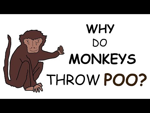 Why do Monkeys Throw Poo?