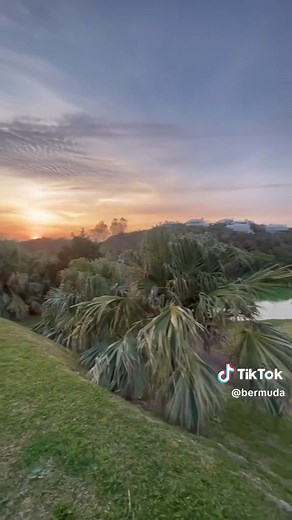 Bermuda on TikTok