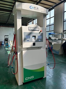 [Hot Item] 110V Motor CNG Dispenser Automatic CNG Filling Station