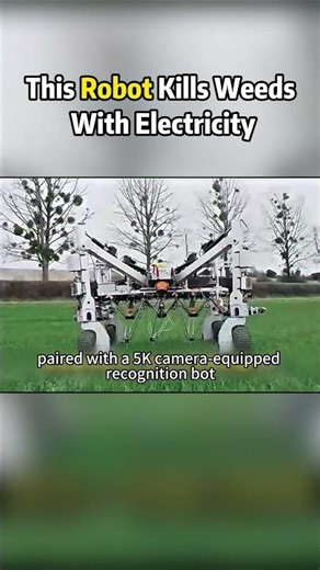 This Robot Kills Weeds With Electricity!
