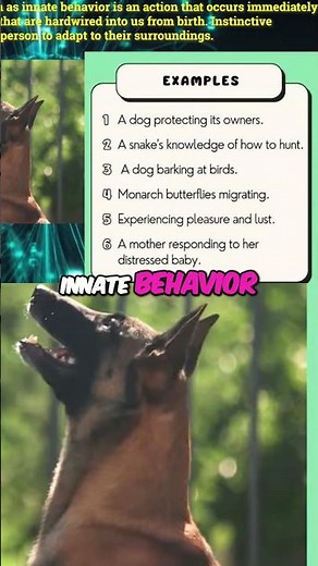 Instincts: The Science Behind Your Innate Behaviors #shorts