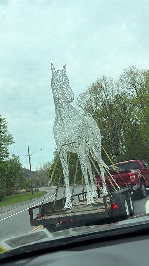 Watch the #horse go from facing front, to facing back. 🤔 #nwct #illusion #fyp