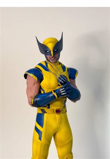Wolverine Standard Unboxing – Hot Toys Collection Reveal
