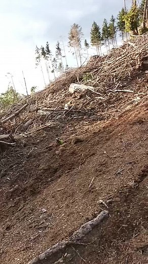 Biken_Gr (@biken_lt)’s videos with BUSTER - $atori Zoom