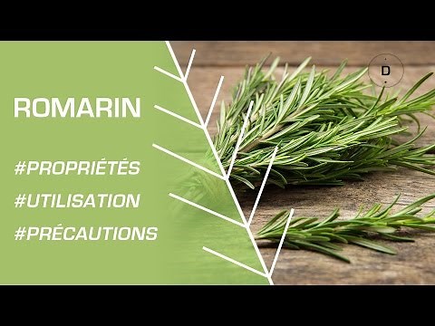 How to use rosemary? Phytotherapy