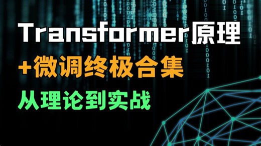 【Transformer+微调】全网最全合集！从零基础到进阶实战，手把手教你玩转大模型（附代码+数据集）