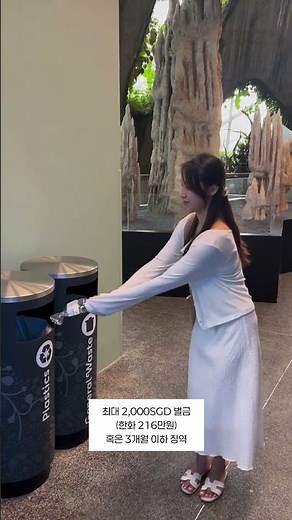 𝘿𝙒🛫 미리 알고 가야 할 싱가포르 여행 정보!