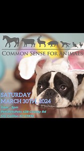 4.8K views · 24 reactions | Please come to PETS PETS PETS event in Califon, NJ on Saturday, March 30, 2024 from 11am-3pm. Common Sense for Animals will be there with puppies! Hope to see you there!! | Common Sense for Animals | Facebook