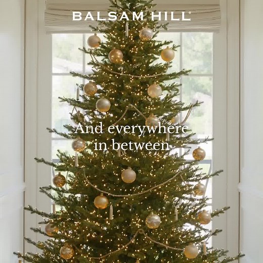 240K views · 1K reactions | Small spaces, big magic. Explore our wide selection of trees, plus a variety of lighting options so you can get festive your way. | Balsam Hill | Facebook
