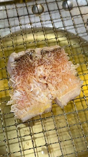 じゅかな𓌉大好物は高カロリー【Japan Food Trip】 on Instagram: "How fried fish is served in Japan🐟 ⁡ COCOCHINO is an Italian restaurant in Kagurazaka,Tokyo serving a wide variety of artistic but casual Italian dishes. ⁡ Leaving the scales on the tilefish, they pour oil right onto the scales making them bloom like a beautiful flower✨ ⁡ The contrast of the tender, delicate flesh and crispy skin is truly delectable in each bite. ⁡ Highly recommended! ⁡ 📍 COCOCHINO 𖠿 3-1-15 Kagurazaka Shinjuku ward Tokyo Japan ⌚