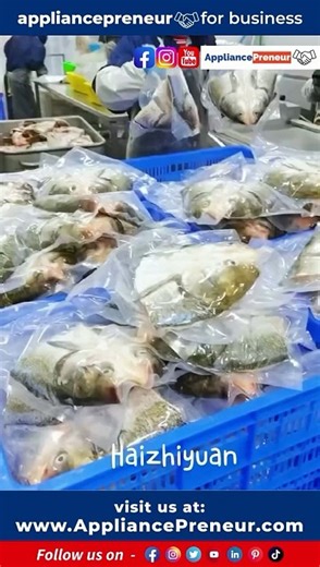 Innovating Seafood Sorting with a Fish Size Sorting Machine