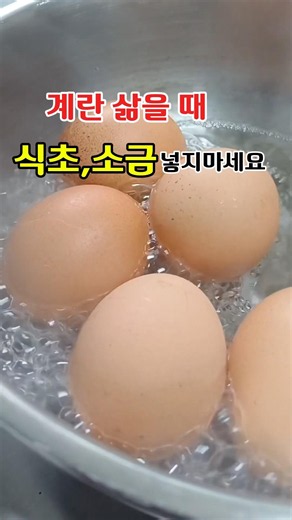 계란삶을 때 식초소금넣지마세요 #건강정보