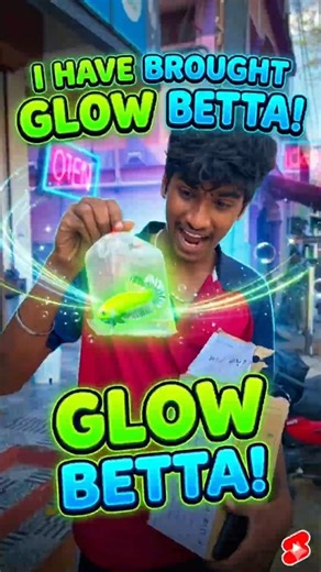 watch fully 😍💚 #pets #fighterfish #glow #fish #beetafish