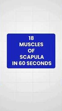 Revise all the muscles of scapula with 1 short. Enjoy the guilt free scrolling😇 #medical