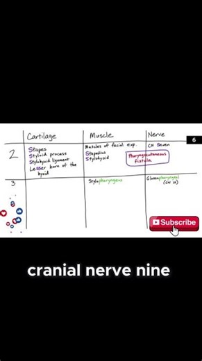 USMLE Step 1 High Yield | First Aid Rapid Review Facts You Must Know
