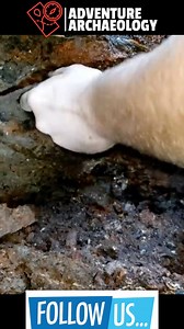 Treasure Hunters reveal rare history one shovel full at a time! #treasure #antique #history | Adventure Archaeology And Southern Diggers