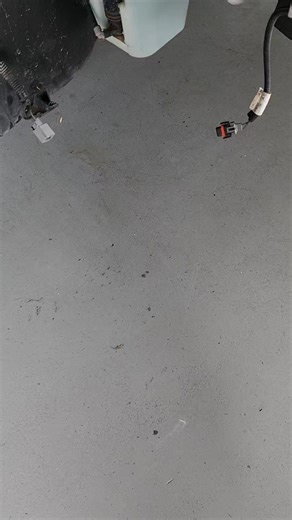 3.9K views · 72 reactions | This #s197mustang Odin install is approaching completion in the shop and will soon be in the hands of our tuning team. They'll put the finishing touches and make it drive like a dream! Data driven development, performance driven results, and enthusiast driven service! . . #vmpperformance #vmpsuperchargers #vmptuning #vmpodin #s197sonly #supercharged #superchargedmustang #dynotune #horsepower #vmppowered | VMP Performance | Facebook